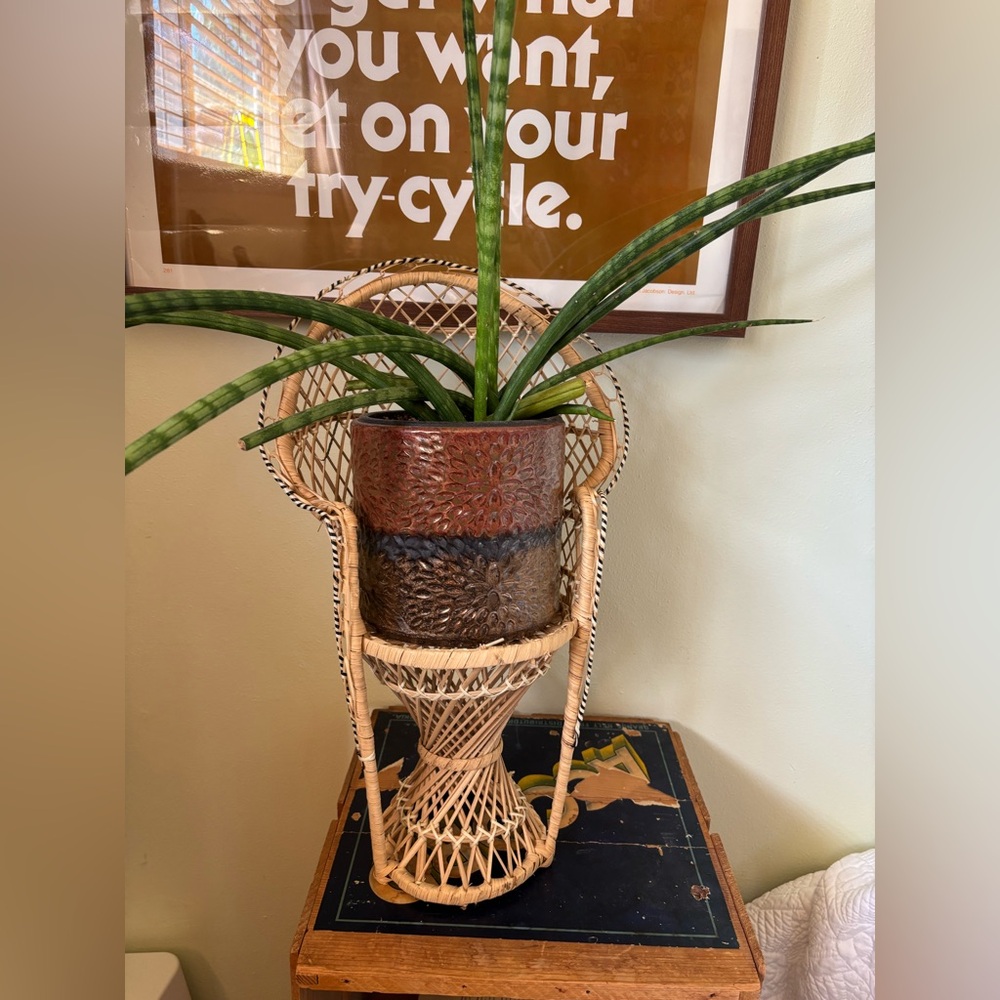Mini wicker peacock chair